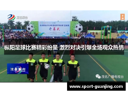 枞阳足球比赛精彩纷呈 激烈对决引爆全场观众热情